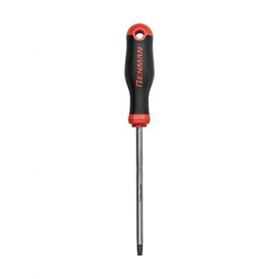 ΚΑΤΣΑΒΙΔΙΑ TORX No 15 100mm ΜΕ ΤΡΥΠΑ BENMAN 72470