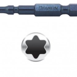 ΜΥΤΕΣ TORX No30 50mm BENMAN 74960 - SET 2TEM