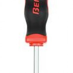ΚΑΤΣΑΒΙΔΙΑ TORX No 20  100mm ΜΕ ΤΡΥΠΑ BENMAN 75169