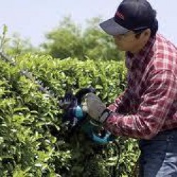 ΨΑΛΙΔΙ ΜΠΟΡΝΤΟΥΡΑΣ MAKITA UH7580